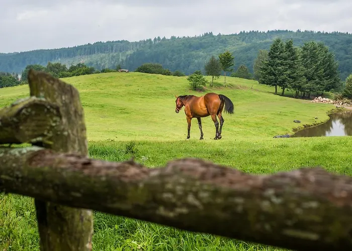 Διαμέρισμα Kaszuby *